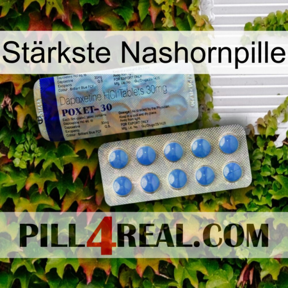 Stärkste Nashornpille 39
